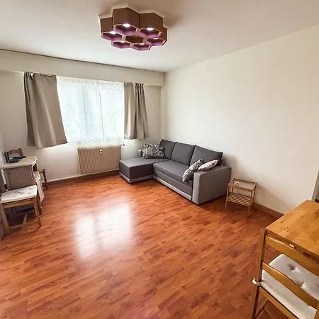 Le Skyline - F2 Avec Balcon Et Vue - Parking Prive Gratuit - Commerces A Proximite Straatsburg